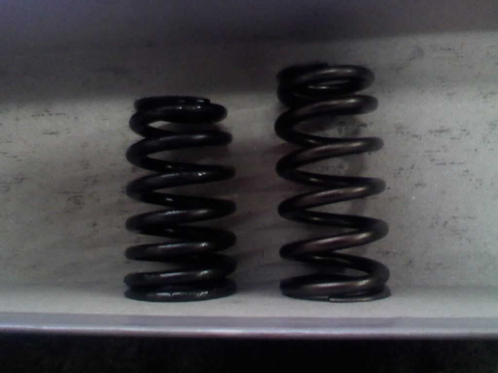 Which valve springs to use? Dakota Durango Forum